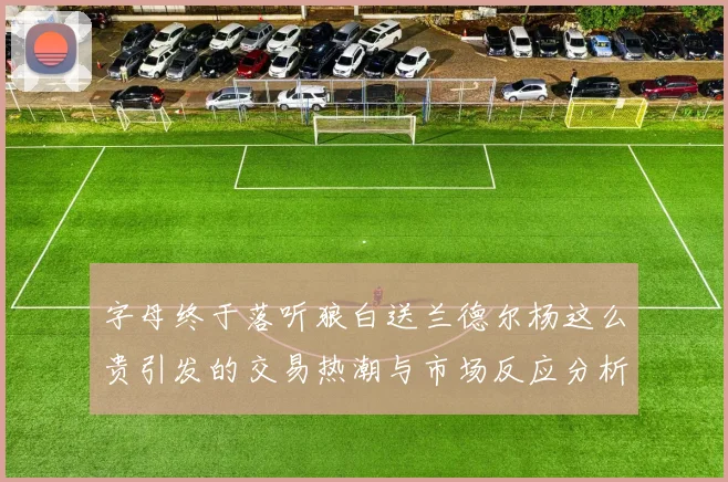 字母终于落听狼白送兰德尔杨这么贵引发的交易热潮与市场反应分析